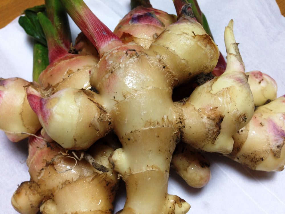 生姜のその他の効果