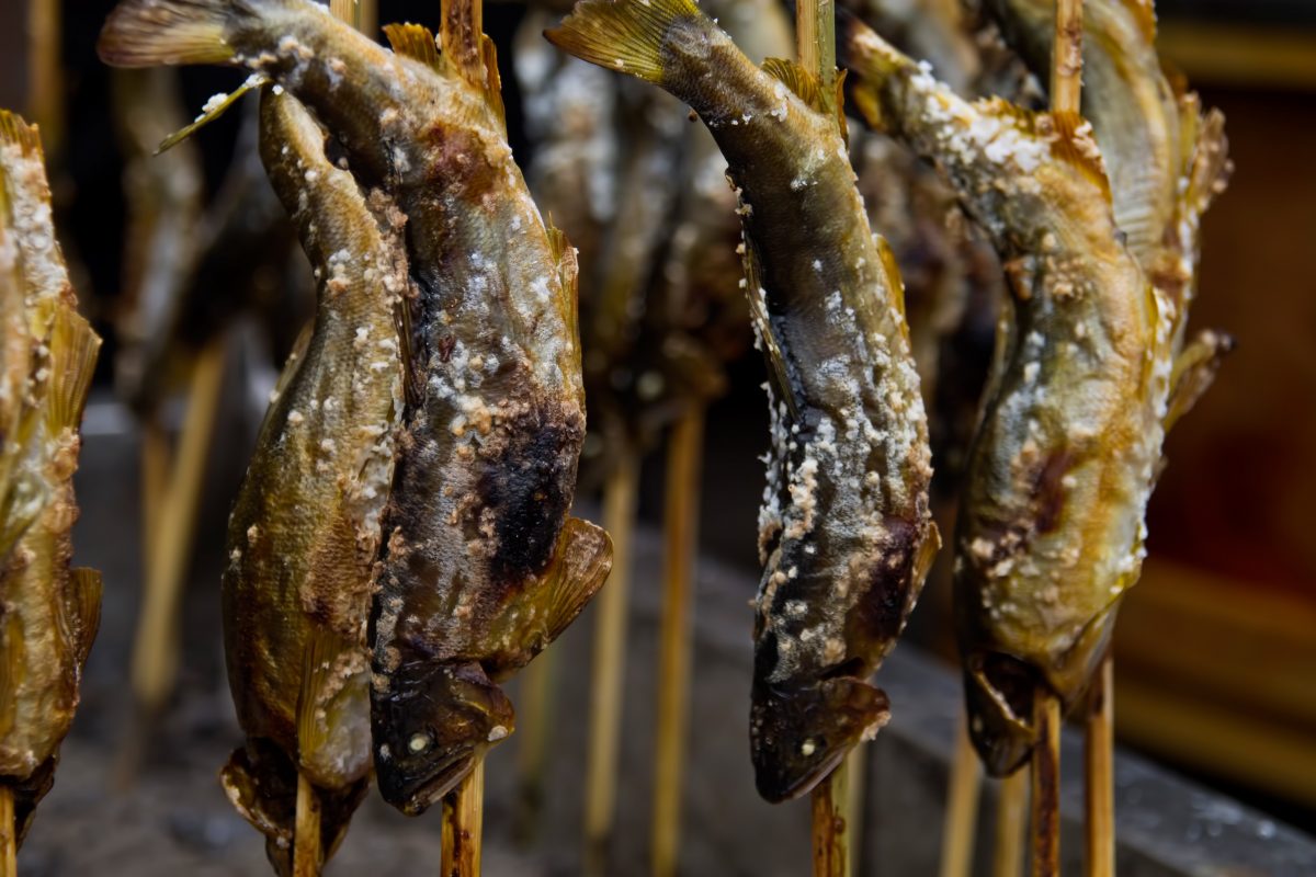 鮎の塩焼きの串をはずしてマナーよく食べる方法 しまんトロッコガイド 地元のおばちゃんブログ