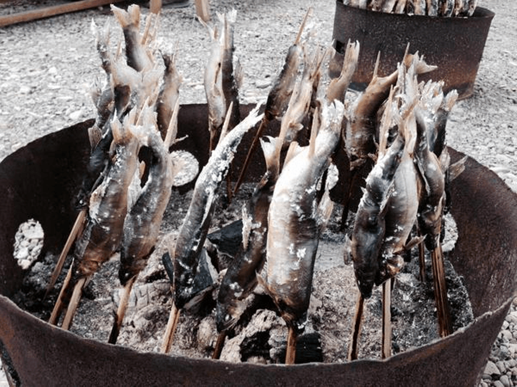 特集 鮎 塩焼き レシピ きれいに食べる方法や天然鮎が食べられるお店や民宿 イベント紹介 しまんトロッコガイド 地元のおばちゃんブログ