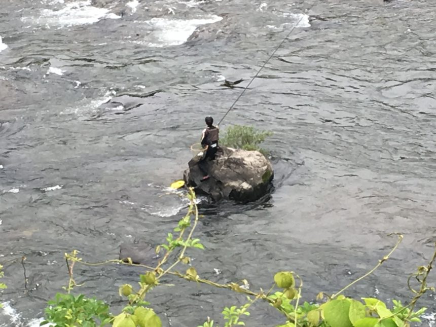 四万十川でのアユ漁 友釣りをするには しまんトロッコガイド 地元のおばちゃんブログ