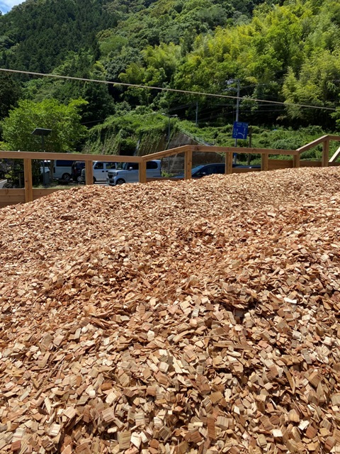 Wood chips at the finish line