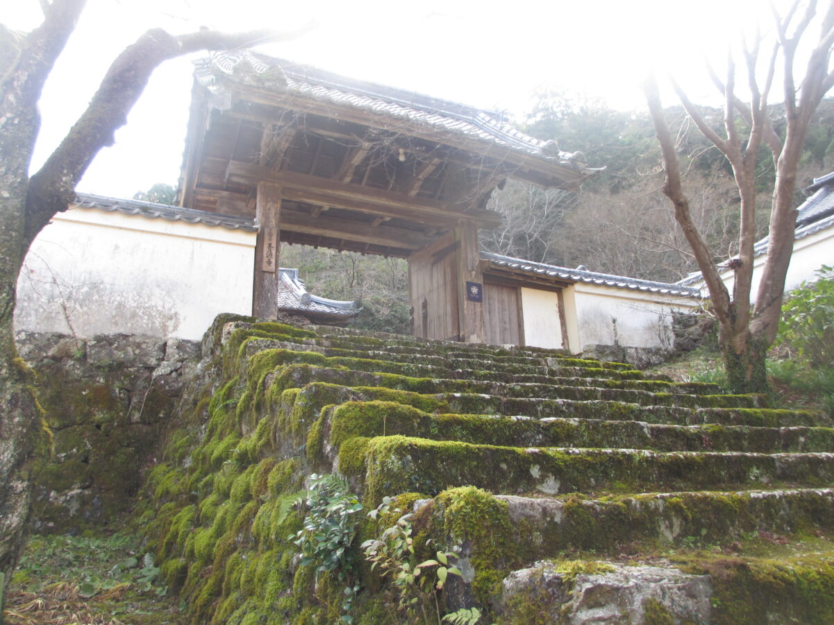 青源寺正面の石畳
