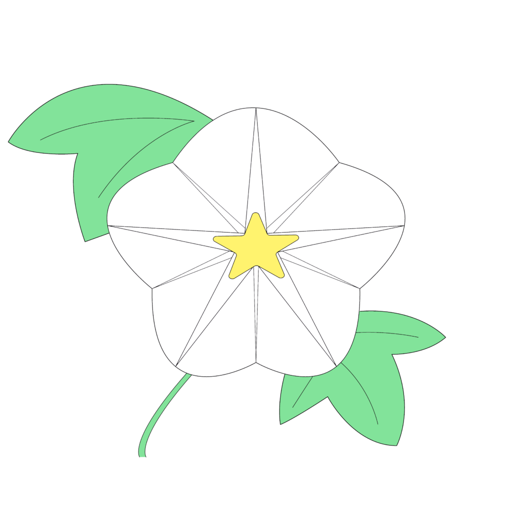 ユウガオのイラスト