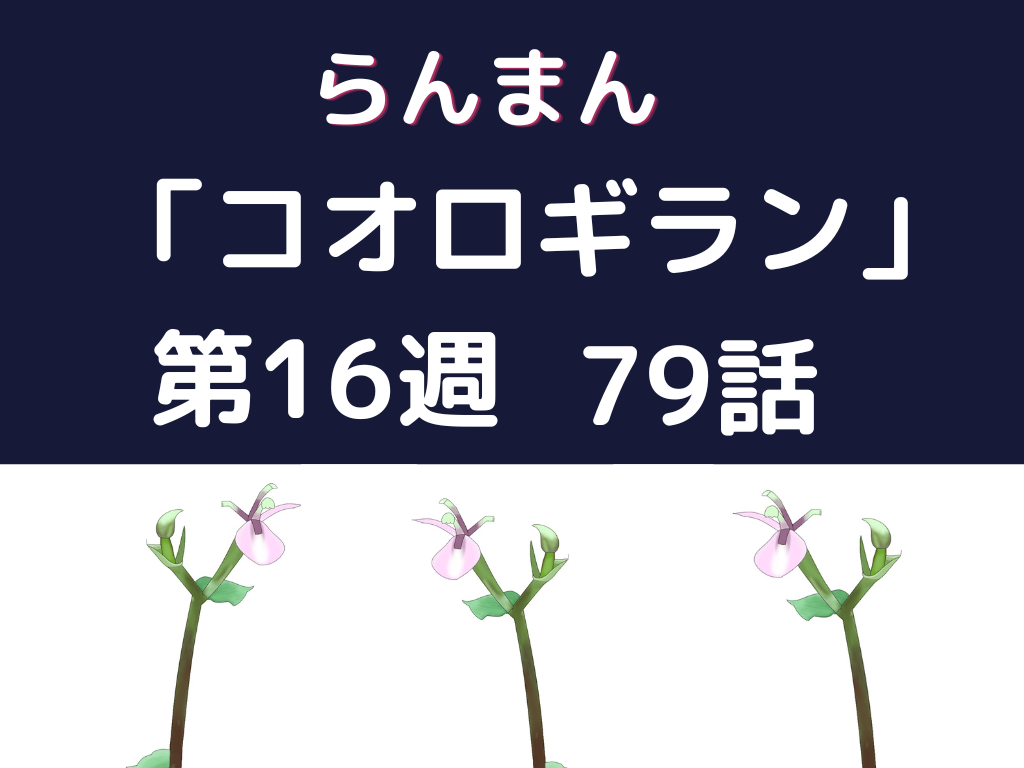 「らんまん」第16週コオロギラン79話