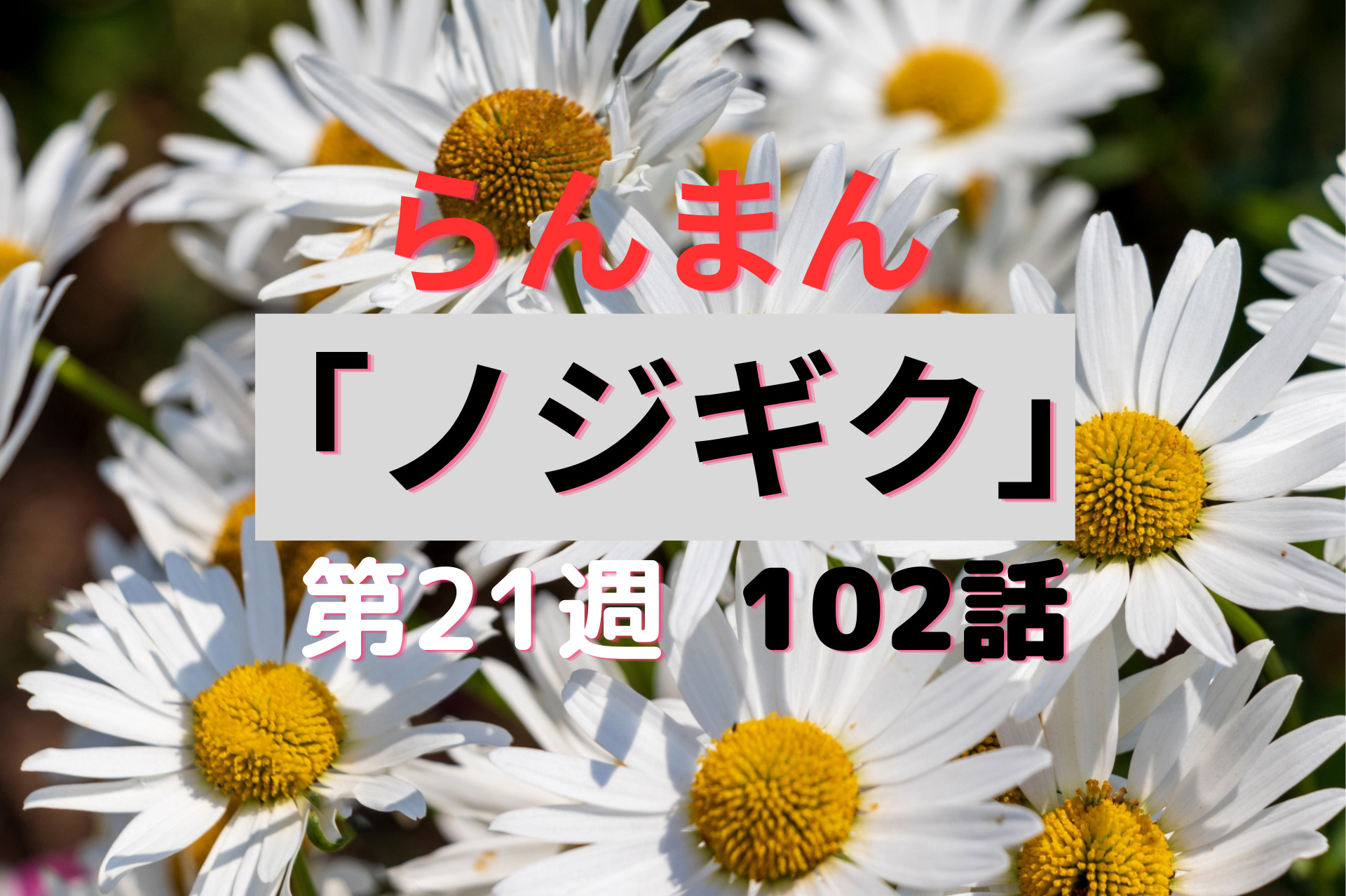朝ドラ『らんまん』21週ノジギク102話