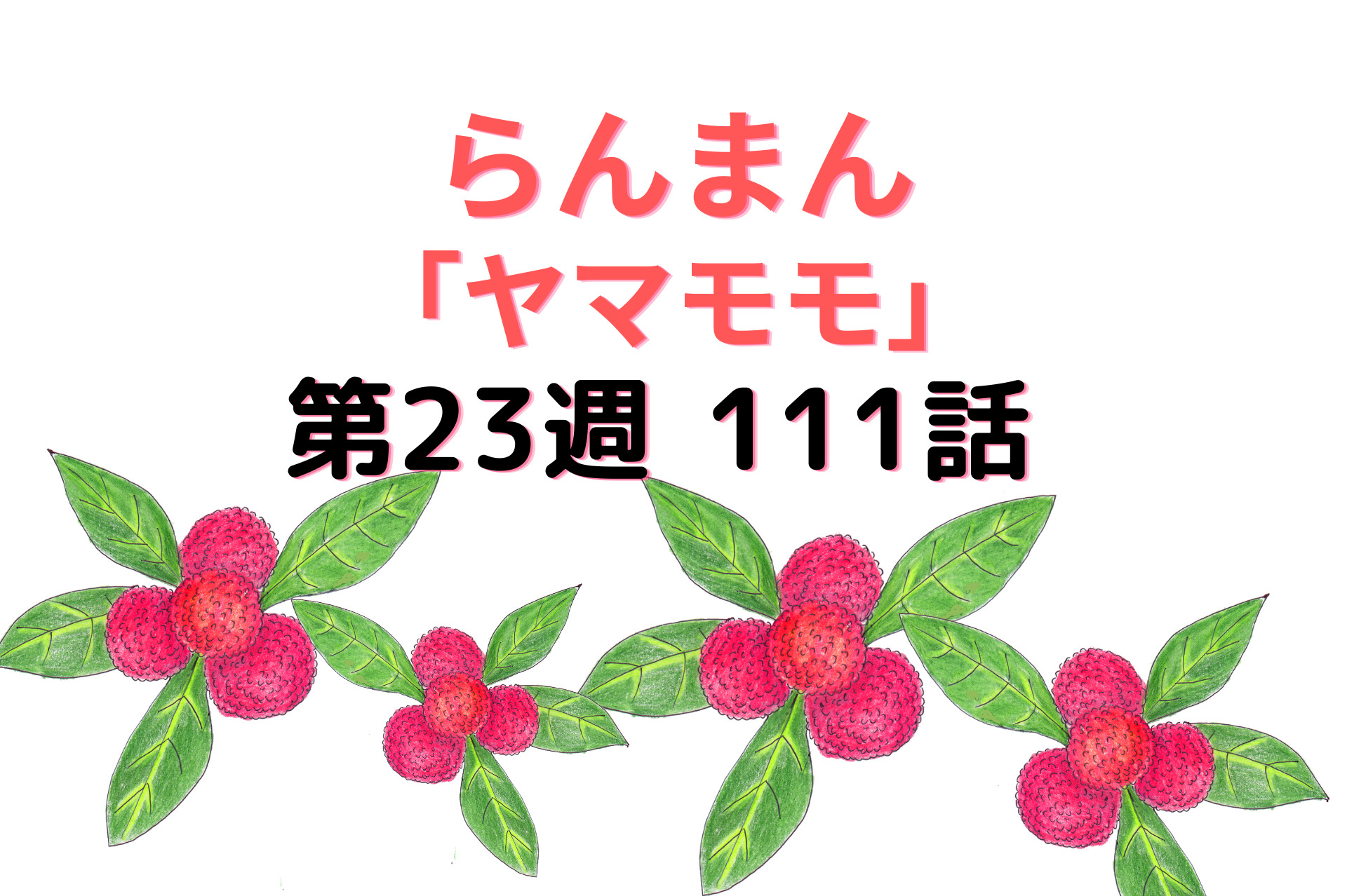 朝ドラ『らんまん』ヤマモモ111話