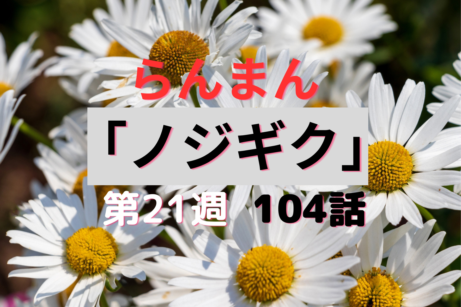 朝ドラ『らんまん』21週ノジギク104話