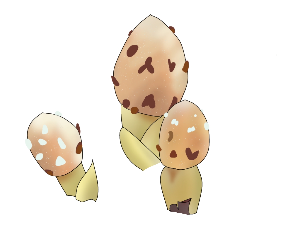 ツチトリモチ